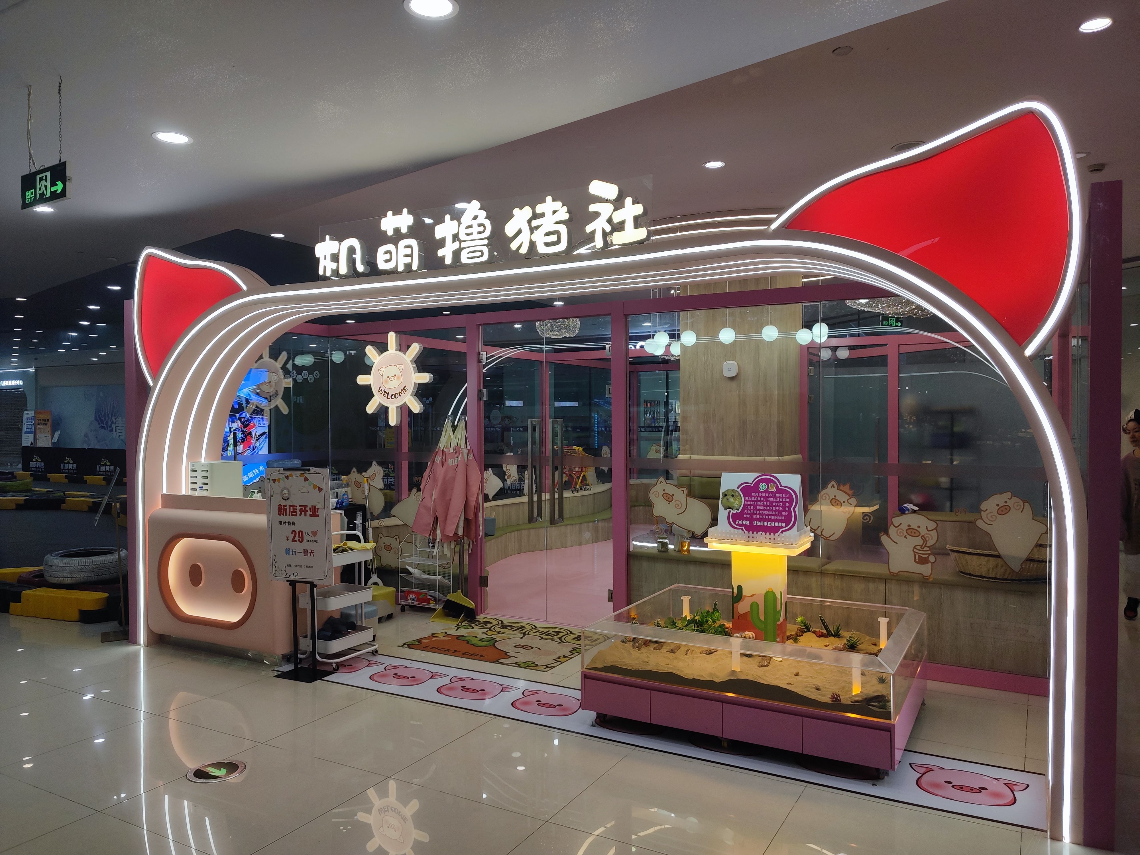 水晶城机萌撸猪社开衣凡！