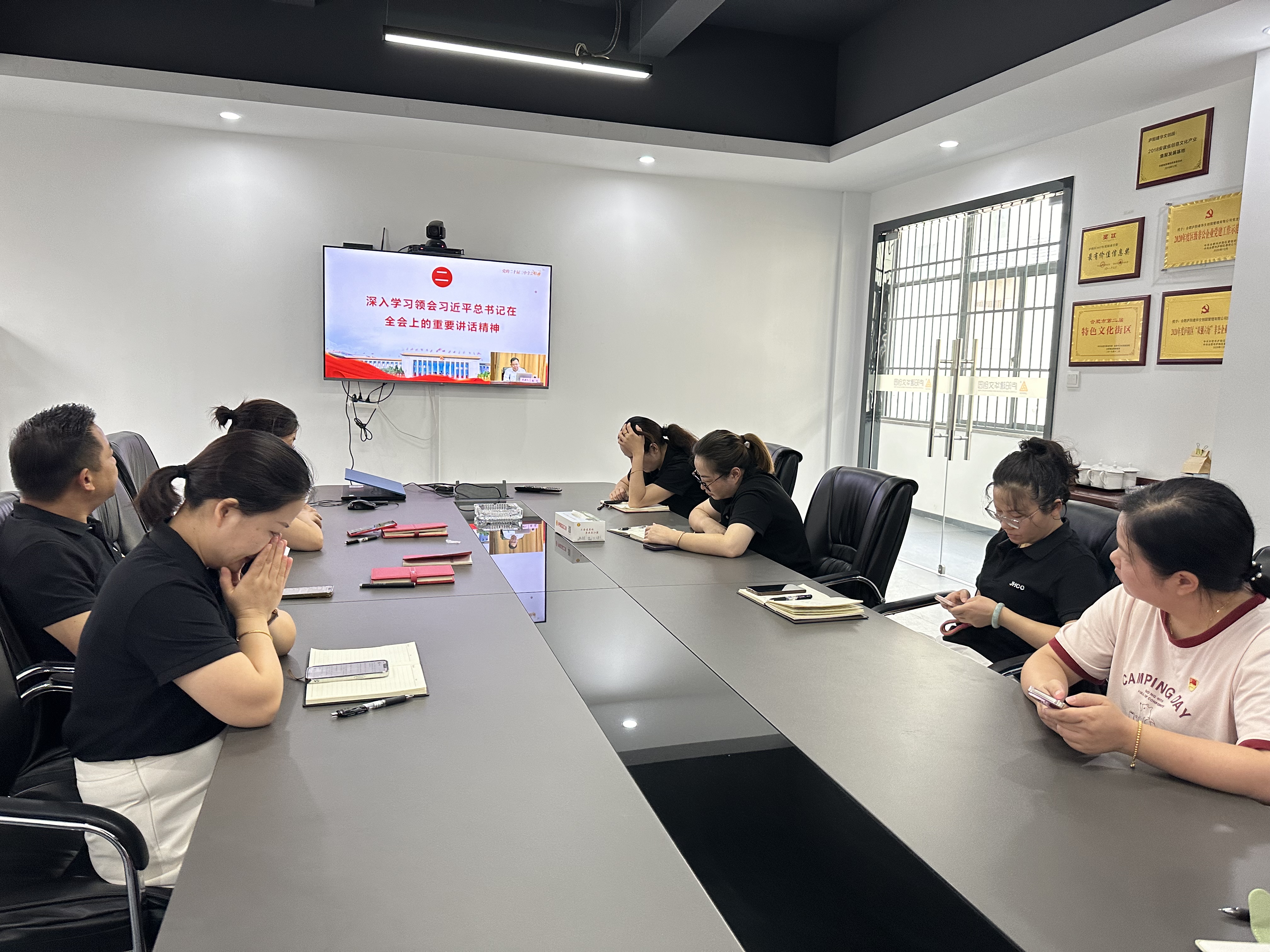 庐阳k8.com文创园党支部积极组织收看“举旗号·送理论”心灵示范宣讲活动