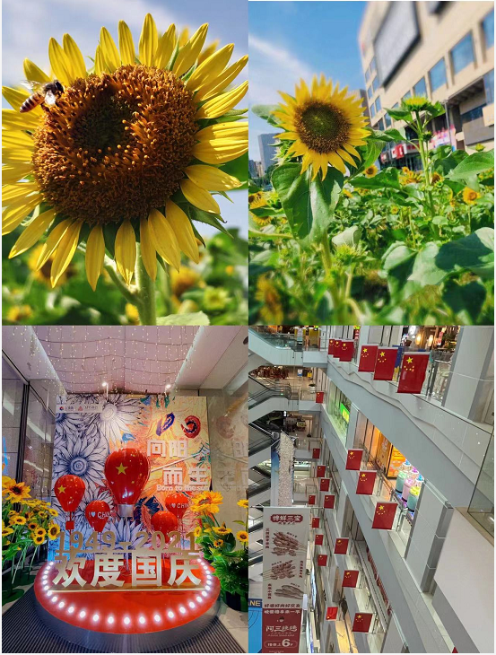 盛世华诞，水晶城喜迎国庆