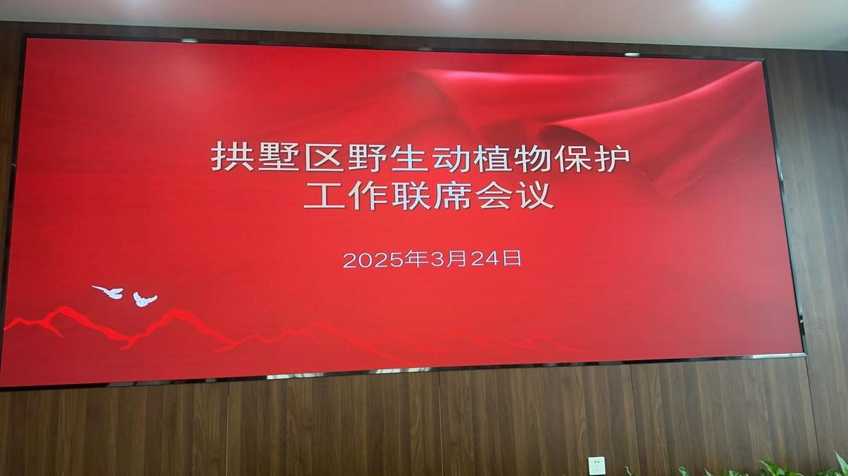 钱江商城参与拱墅区野活泼植物；すぷ髁嵋