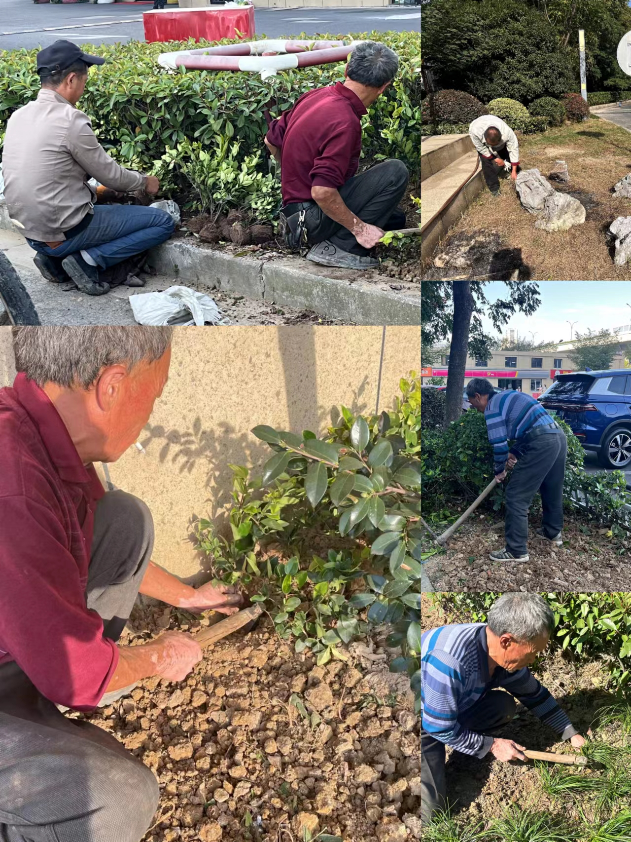 园区环境双升级，焕然新风提水准