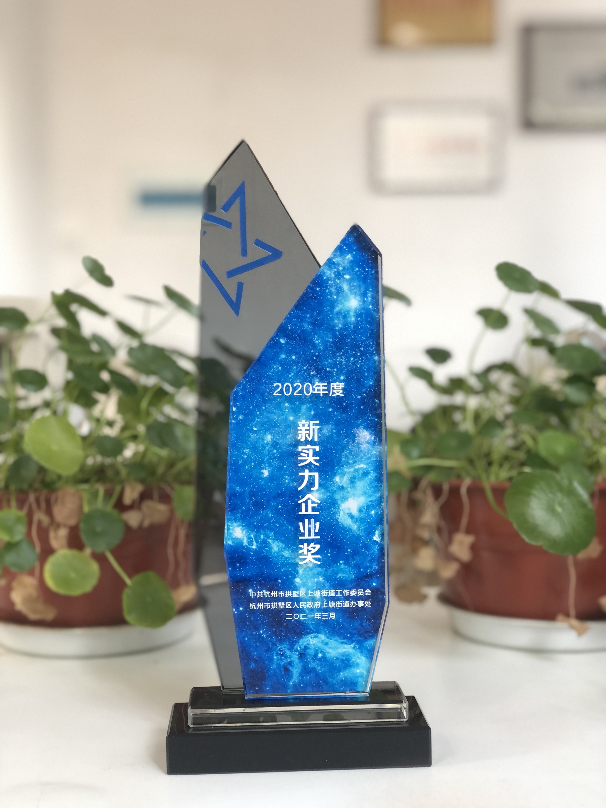 浙江k8.com网络科技有限公司荣获“新实力企业奖”