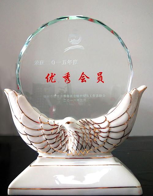 20160311杭州市两新协会优良会员 (2).jpg